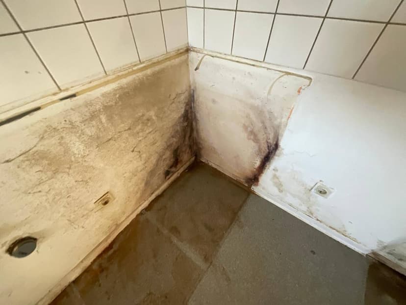 Nahaufnahme: Schwarzer Schimmel in der Ecke einer Küche